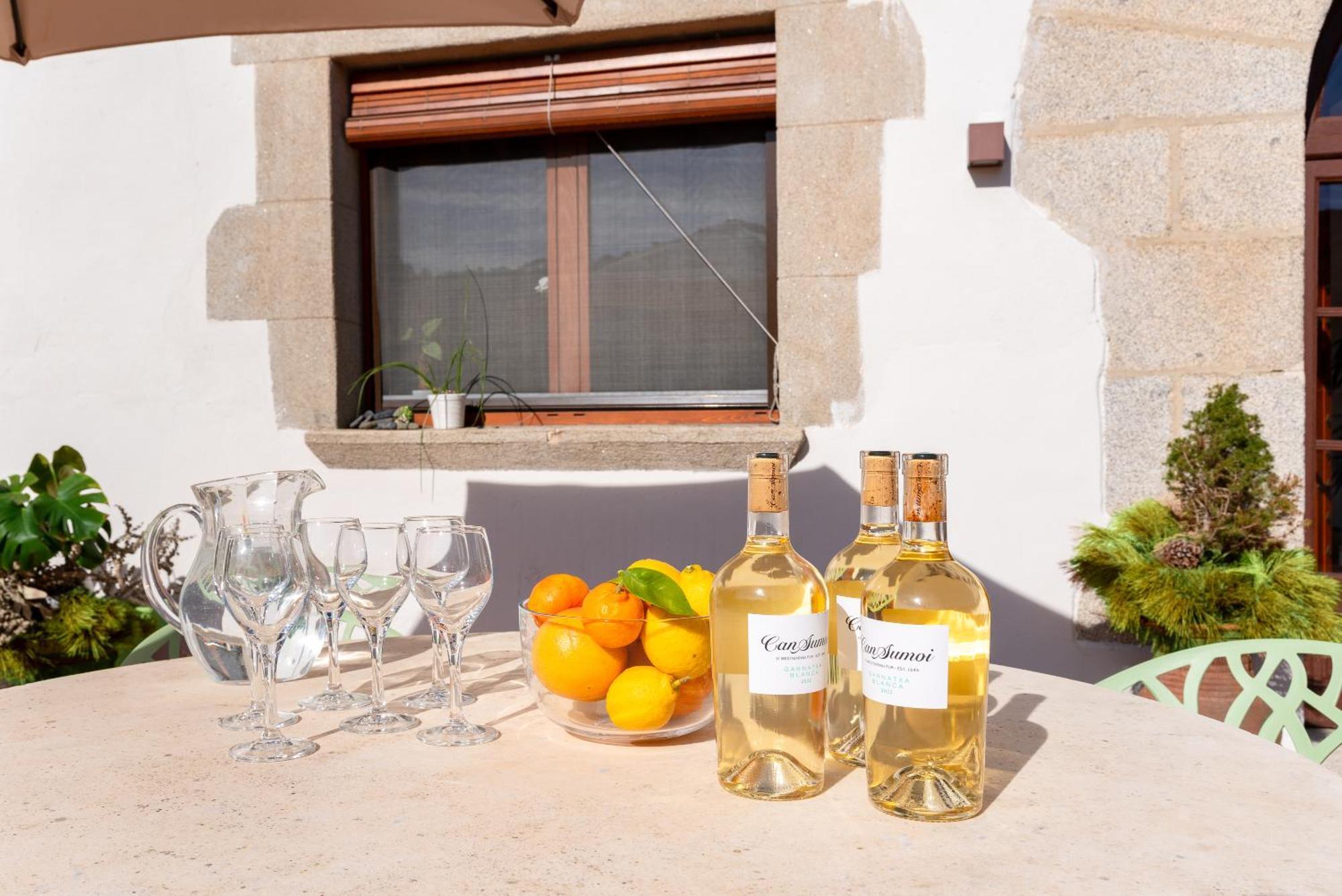 La Terraza - Grosszuegiges Appartment In Katalanischer Masia Sant Iscle De Vallalta Dış mekan fotoğraf